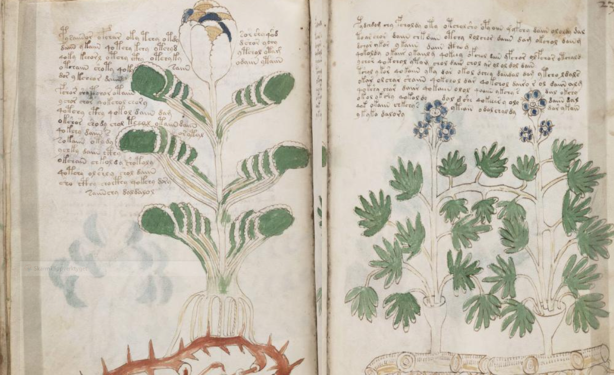 The Voynich Manuscript