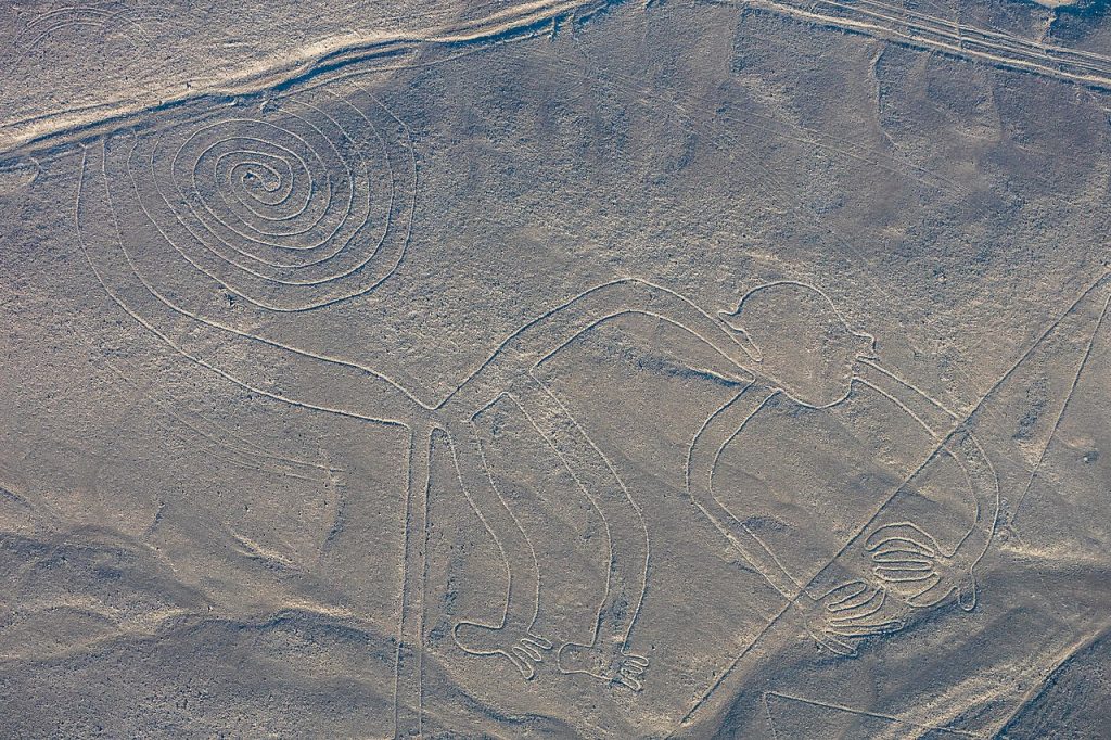 The monkey, Nazca Line, Peru