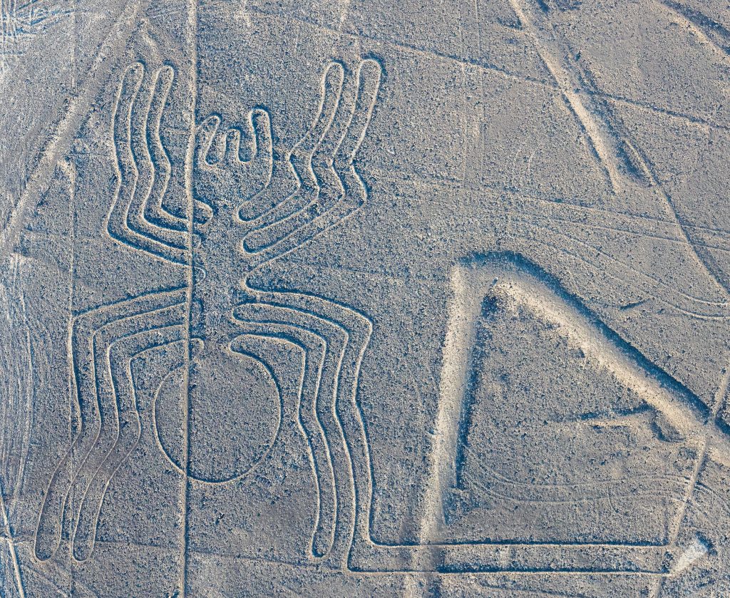 The Spider - Nazca Line, Peru